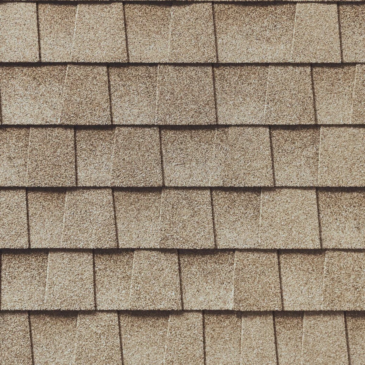 Burch Roofing Images